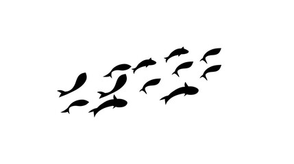 Road with dashed lines in the middle on white background.