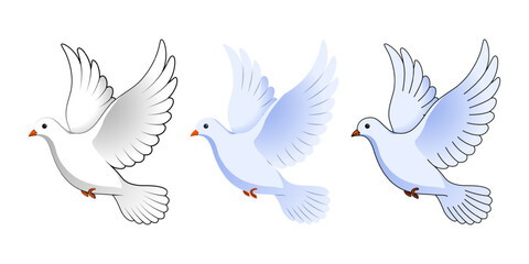 Vector illustration of Dove set on transparent background