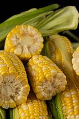 Close-up view of fresh raw corn cobs ready for cooking.