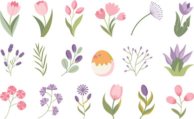 Fototapeta premium Spring Flowers & Nature Elements Pack vector on white background