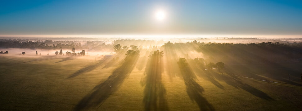 Aerial panorama of morning sunshine on a layer of fog amongst gum trees on farmland at Moama