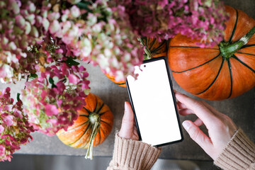 Woman holds a smartphone with blank white screen, surrounded by pumpkins and autumn flowers. Cozy, celebratory mood of the season, perfect for showcasing mobile apps or holiday content