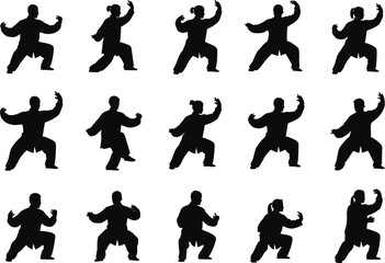 Martial, Arts, Kungfu, Taichi, Karate, Judo, Training, Exercise, Fitness, Sport, Combat, Balance, Strength, Power, Energy, Movement, Pose, Discipline, Culture, Tradition