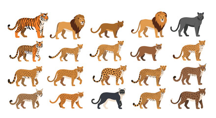 Obraz premium A collection of diverse big cat species and their cubs in various poses.