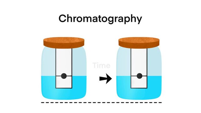 chromatography analytical method for the separation of a mixture into its individual components, Chromatography is a technique used to separate and analyze mixtures, infographic elements for design