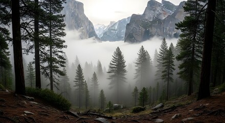 Atmospheric View of Foggy Mountains and Forest.