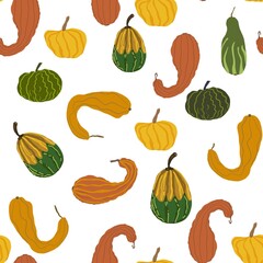 Seamless hand-drawn pattern with different types of gourds, pumpkins, and squashes in orange, yellow, and green colors. Decorative autumn vegetables on a white background. Perfect for seasonal design