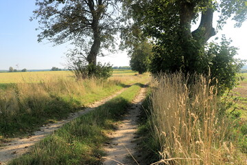 Wiejska droga © Ireneusz