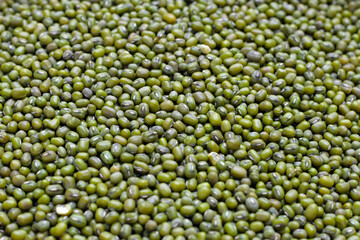 Mung bean on white background.