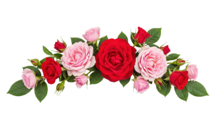Isolated Roses on a Floral Swag – Blossoms, Buds and Leaves on a Decorative Design Element