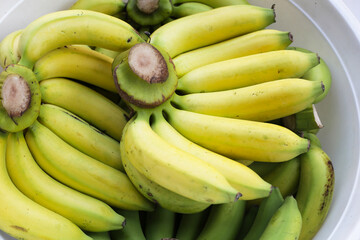Banana fruits, delicious ripe bananas