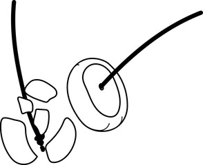  Horse-chestnuts on string. Illustration to traditional game of conkers.