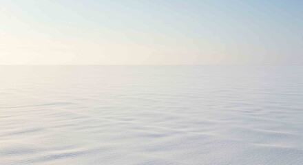 Obraz premium Vast Snowy Landscape Under a Soft Dawn Sky in Antarctica