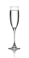 Champagne Flute Outline. Bar Drink Concept with Still Life Reflection of Vine and White Grapes