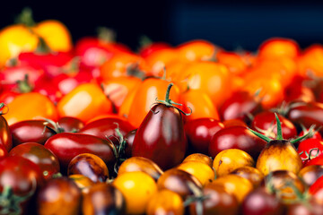 Tomate im Fokus mit unscharfem Vorder- und Hintergrund