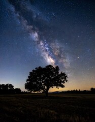 Milky Way over a lone tree