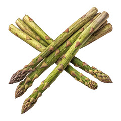 A bunch of fresh green asparagus spears are arranged in a crisscross pattern isolated on transparent background for a healthy food concept