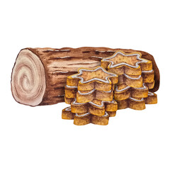 Watercolor illustration of a traditional chocolate yule log cake and stacks of star-shaped gingerbread cookies with white icing. for holiday packaging, menus, wrapping paper, and bakery branding.