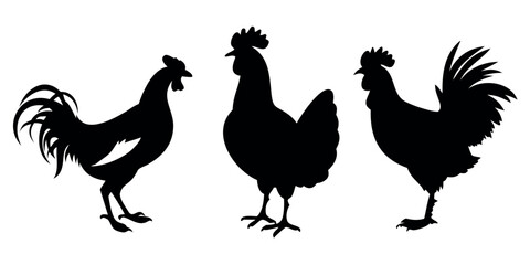 Vector Silhouette Set of Chickens Bold Black Shapes