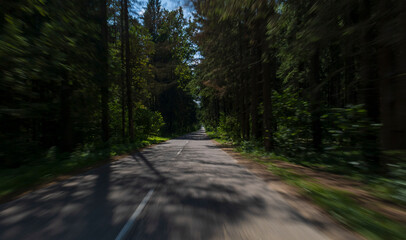 Obraz premium Road view on a summer day. Highways and bridge, roadside and white road line markings.