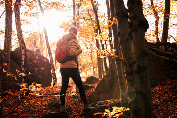 Woman hiking in autumn forest at sunny day. Outdoors adventure. Female hiker with backpack exploring wilderness in nature
