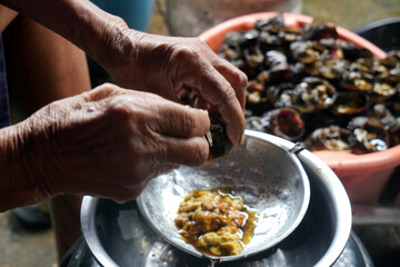 Crab fat, a Thai food made from field crabs