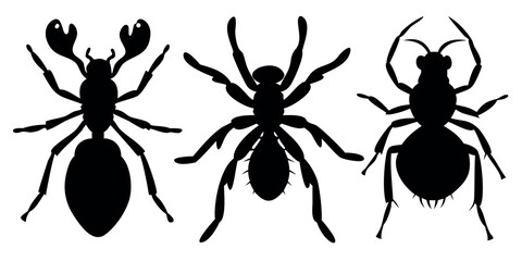 Vector Silhouette Set of Insects Spider Ant and Beetle