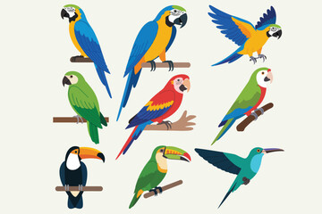 Obraz premium Colorful Bird Collection Parrots, Toucans, and Hummingbird Illustrations