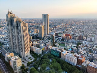 Fototapeta premium 夏の夕暮れ時の淡い光に包まれた東京都庁舎と新宿中央公園を含む広範囲な都市のパノラマ俯瞰風景