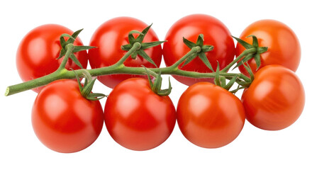 Isolated vine of fresh ripe red tomatoes on the branch, healthy eating ingredients, food shot