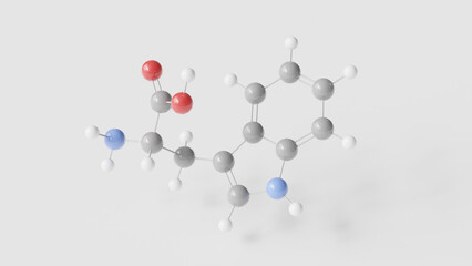 tryptophan molecule 3d, molecular structure, ball and stick model, structural chemical formula essential amino acid