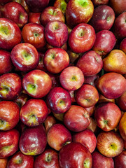 Fresh red apples