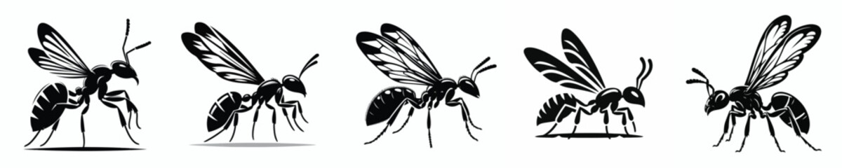 vector black and white silhouette of a winged ant