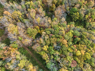 Cinematic aerial drone view of large clouds drifting across the sky. Perfect for themes of weather, atmosphere, climate, inspiration, and nature backgrounds