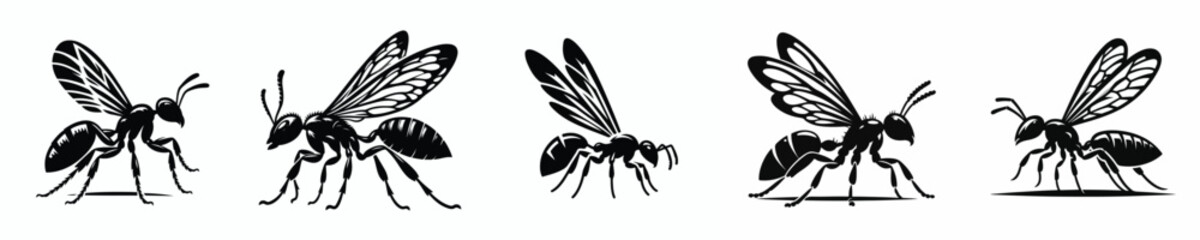 vector black and white silhouette of a winged ant