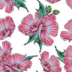 Seamless pattern with watercolor pink hibiscus flowers and green leaves on white background, in a botanical realistic style. Suitable for fabric, wallpaper, cosmetics, spa and summer product design.