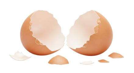 Isolated broken eggshells on surface, brown and beige egg remains after hatching, illustration