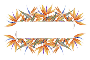 Watercolor floral frame of vibrant orange and blue bird of paradise flowers . Strelitzia illustration for invitations greeting cards packaging cosmetics wedding decor and summer branding.