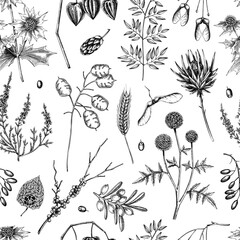 Sketch style fall leaves background. Dried flowers and autumn plants seamless pattern. Hand drawn vector illustration. NOT AI generated 
