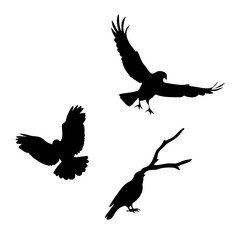 Wildlife Vector Illustration
Silhouette of Wild Animals in Forest
Safari Wildlife Vector Scene
Jungle Wildlife Illustration
Wild Animal Silhouette Collection