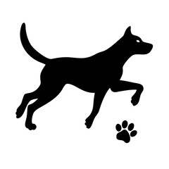 Wildlife Vector Illustration
Silhouette of Wild Animals in Forest
Safari Wildlife Vector Scene
Jungle Wildlife Illustration
Wild Animal Silhouette Collection