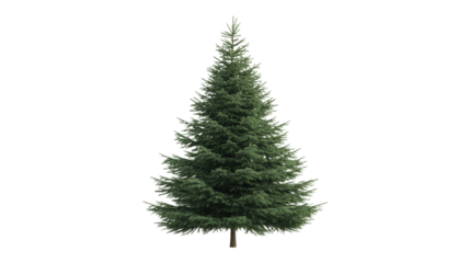 Green Christmas Tree isolated on a transparent background 