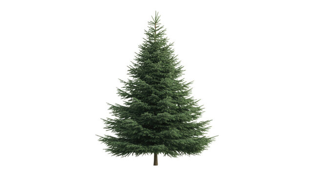Green Christmas Tree isolated on a transparent background 
