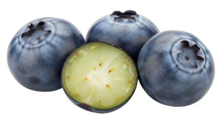 Isolated plump blueberries, three whole and one half, ready for fresh summer baking