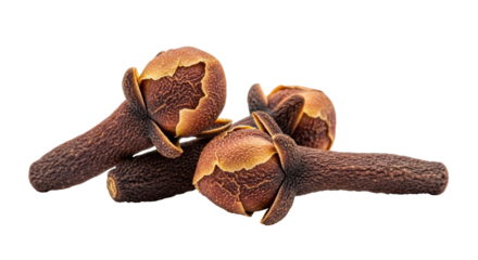 Isolated aromatic cloves spice close up, dry, whole, clove essential oil and flavor ingredient