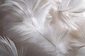 Fototapeta premium Soft white feathers spread across a light surface for decoration