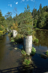 Fototapeta premium Overgrown redundant bridge buttresses in the Ilz river near Hals, Bavaria, Germany