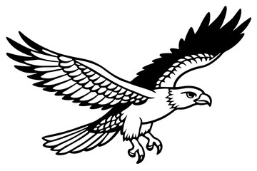 harpy eagle vector illustration