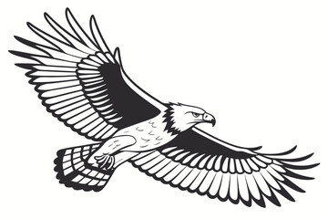 harpy eagle