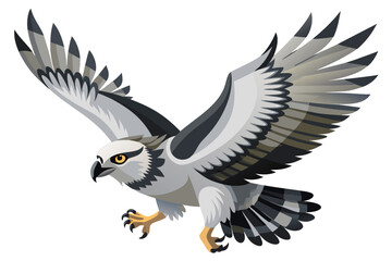 eagle in the sky